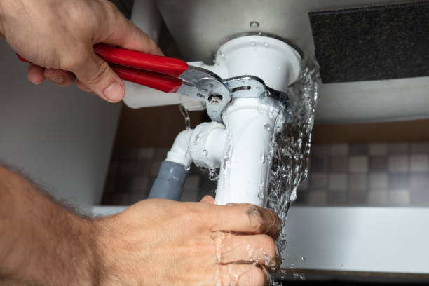 Best Fire Damage Restoration  in Wright City, MO
