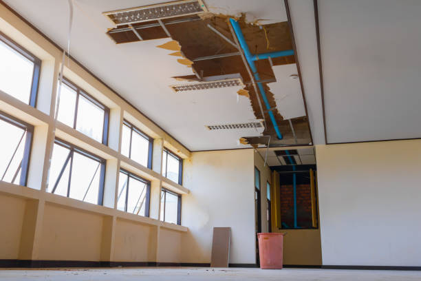 Best Ceiling water damage repair  in Wright City, MO