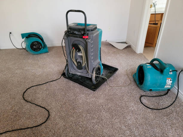 Best Water damage restoration near me  in Wright City, MO