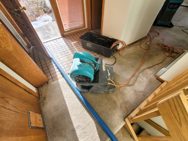 Best Sewage cleanup and water damage restoration  in Wright City, MO