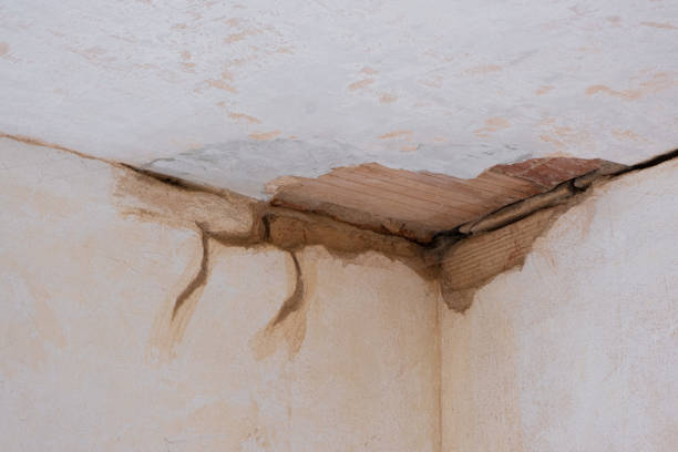 Best Emergency water damage restoration  in Wright City, MO