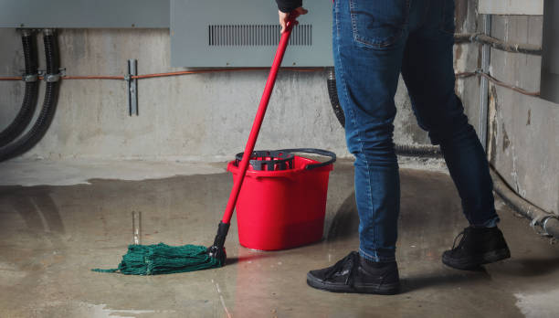 Best Mold removal after water damage  in Wright City, MO