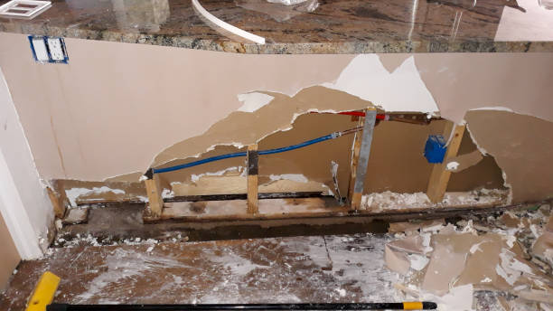 Best Professional water damage repair  in Wright City, MO
